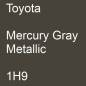 Preview: Toyota, Mercury Gray Metallic, 1H9.